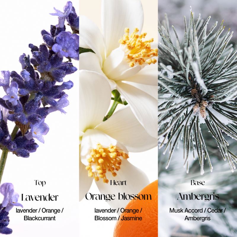 O.Two.O Floral Bloom Perfume (PF03)